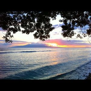 Meet your Posher, Jared